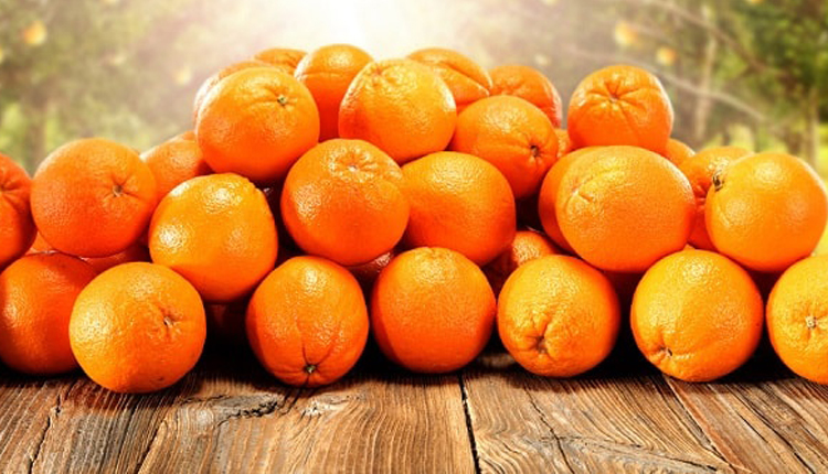 خواص پرتقال | خرید میوه خشک | خرید دستگاه میوه خشک | میوه خشک | قیمت میوه خشک